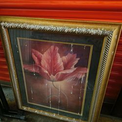 Flower In A Wooden Frame