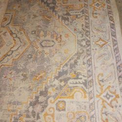 BRIGHTON 7BY9 LIKE BRAND NEW GORGEOUS CLEAN RUG PAID 389 SELL 40 FIRM