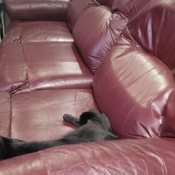 Free Couch Recliner