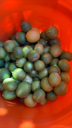Limones limes