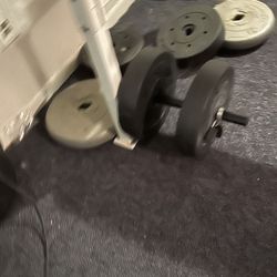 Weight Set And Bench