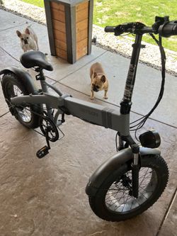 Jetson Warren All Terrain E-bike