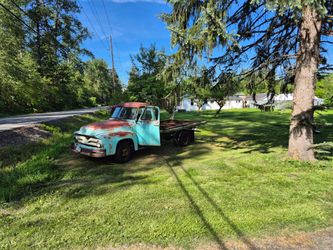 1955 Ford F100