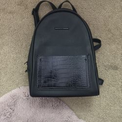 Black Aldo Bag 