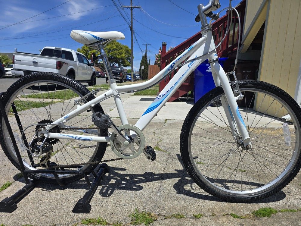 Giant Mountain Bike Ready To Ride