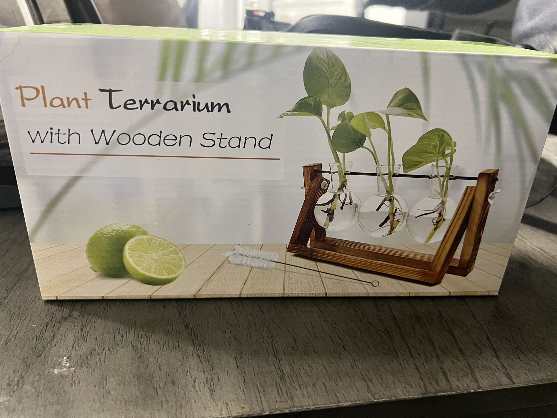 Plant Terrarium with Wooden Stand – 3 Glass Bulb Vases (Brand New)