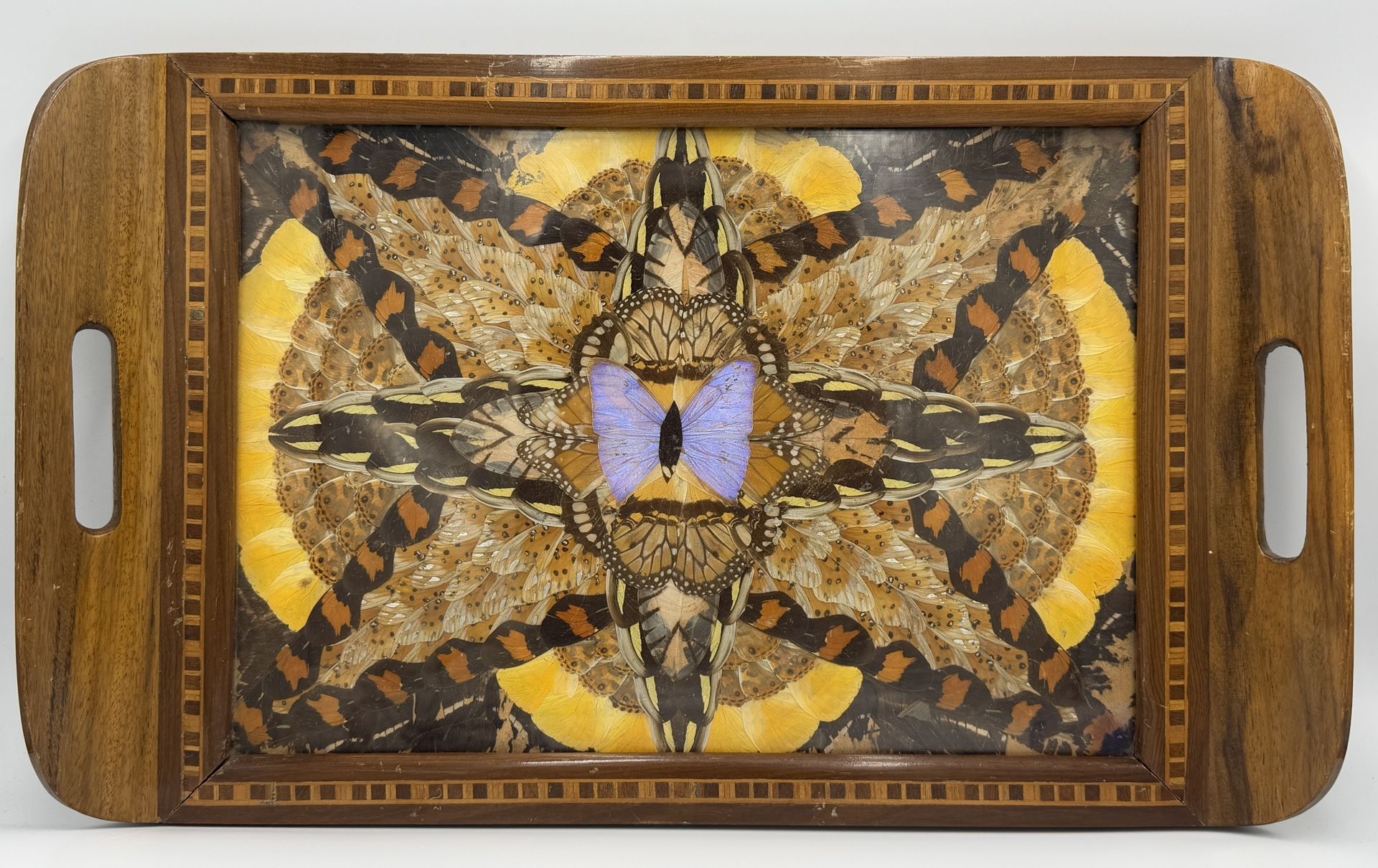 Antique Brazilian Blue Morpho Butterfly Wing Starburst Wood Tray Granato & Cia