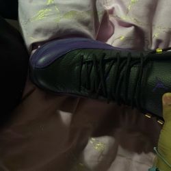 Jordan 12s Purple