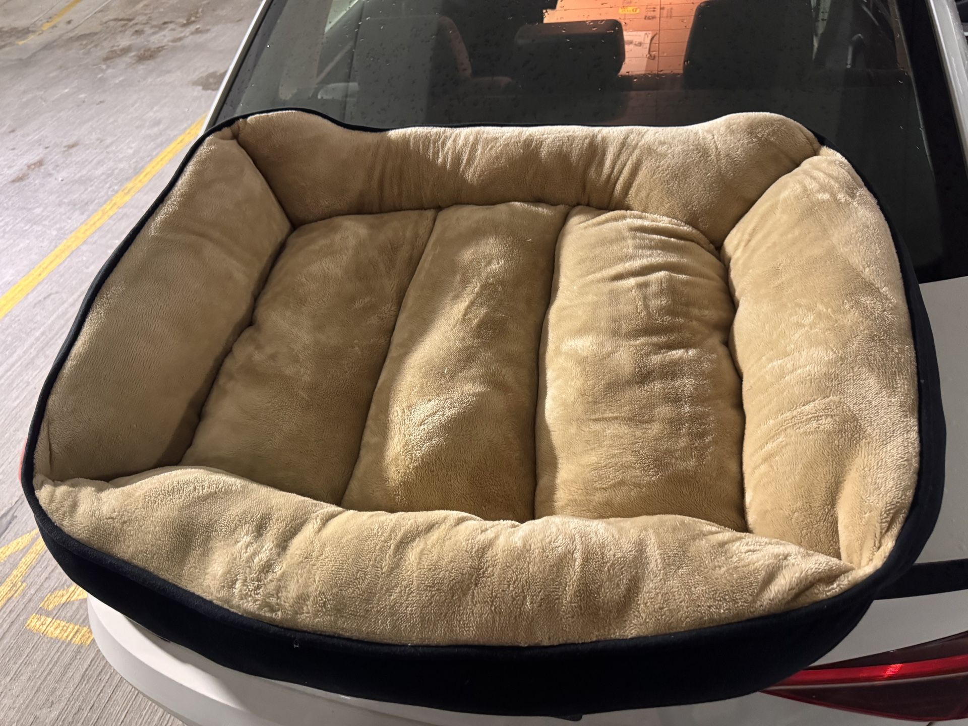Large Dog Bed