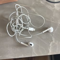 Apple Headphones 