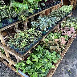 3 Tiered Plant Stands 