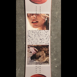 2018 Bataleon Evil Twin