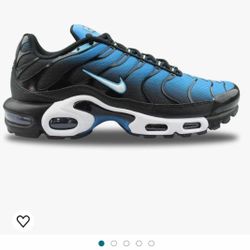 Brand New Nike Air Max Plus Aquarius Men Shoe Side 11