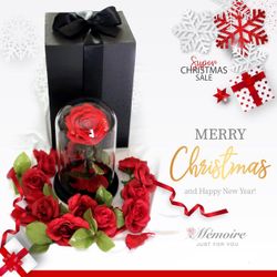 Beauty and The Beast Rose Forever Preserved Rose 