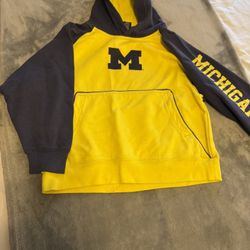 Kids Michigan Wolverine Hoodie
