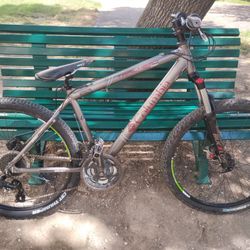 Mountain Bike    READ DISCRIPTION