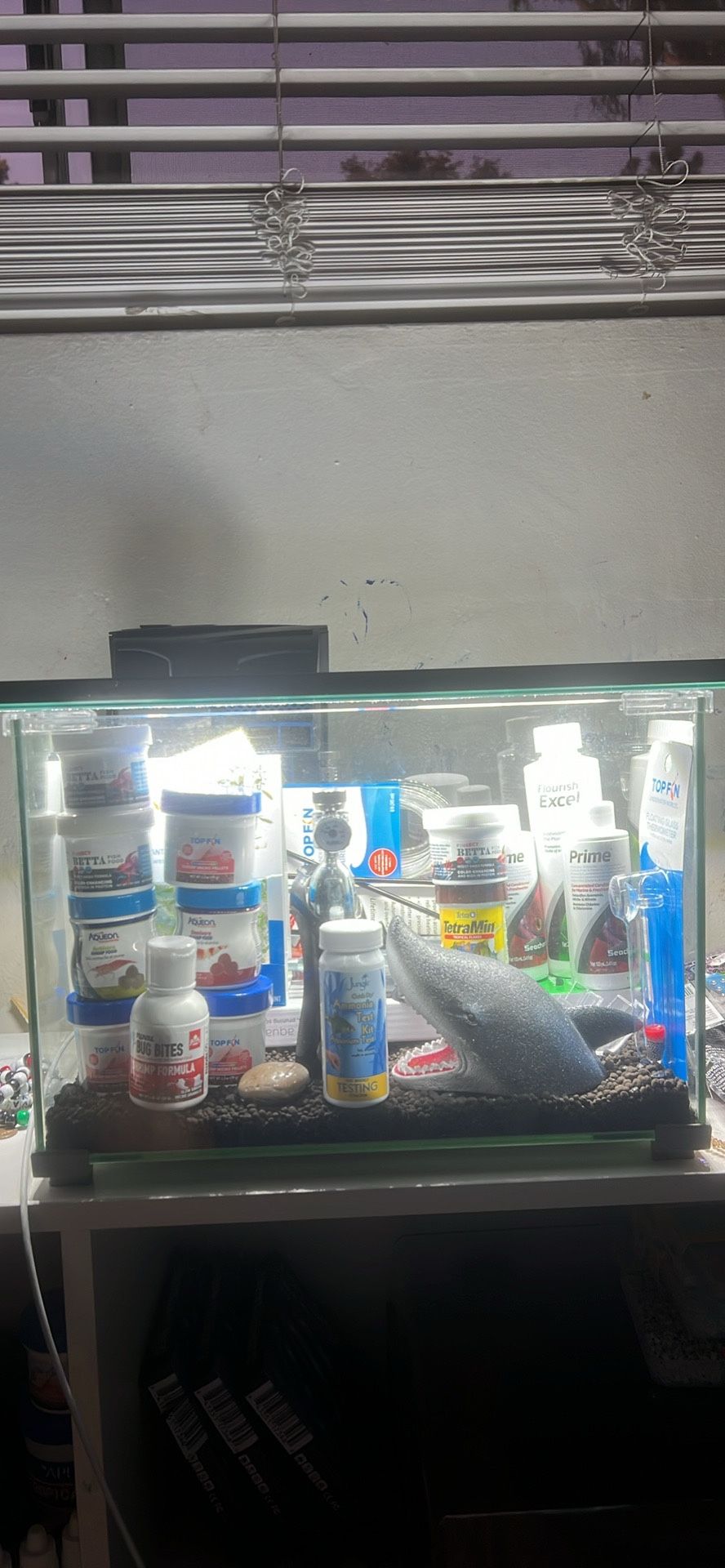 Fish Tank