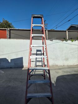 8 ft Werner Ladder