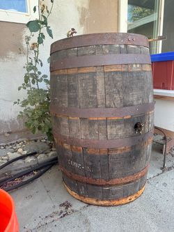 Bee Hive in Barrel