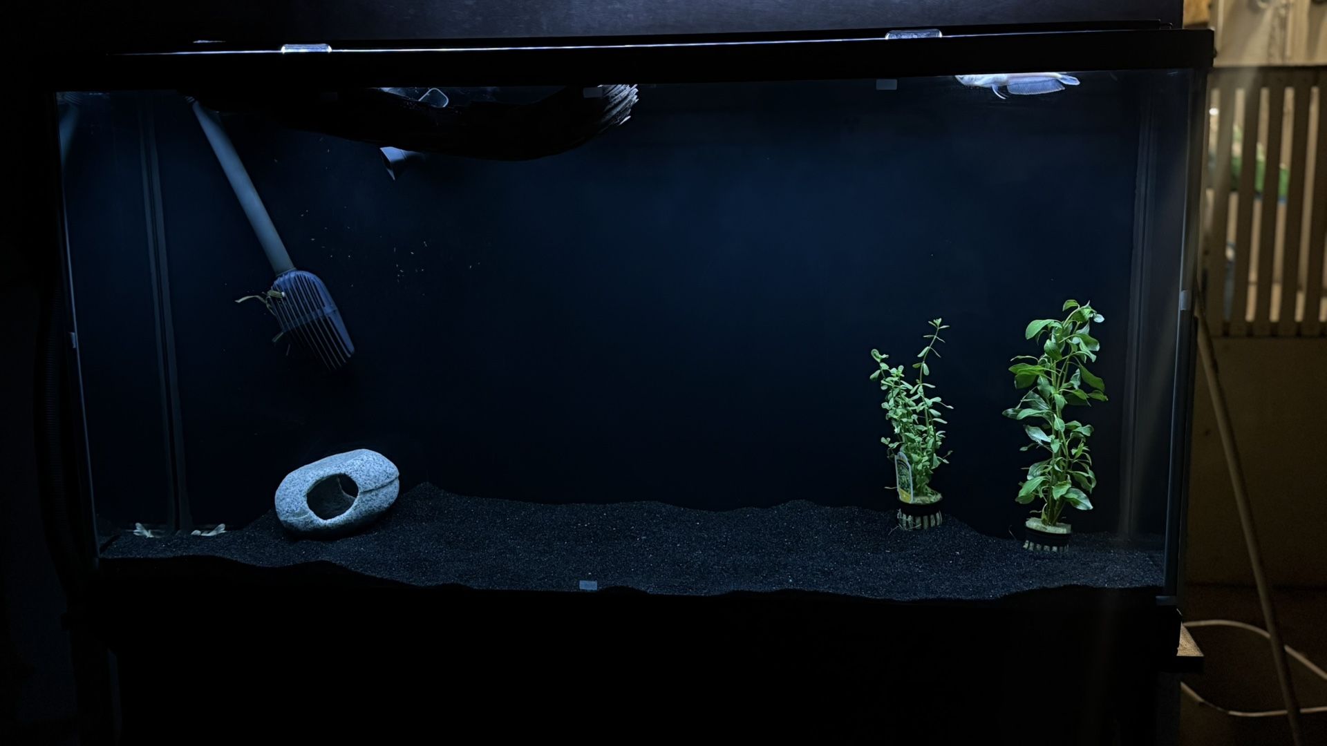 75 Gallon Tank And Stand 