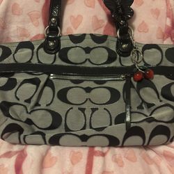 Black With Blue Interior Coach Bag