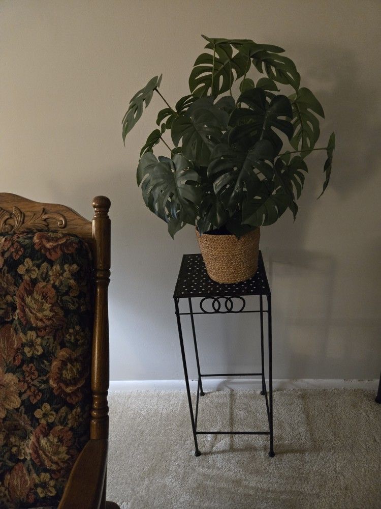 Fake Plant
