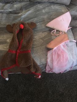 Dogs Halloween costumes