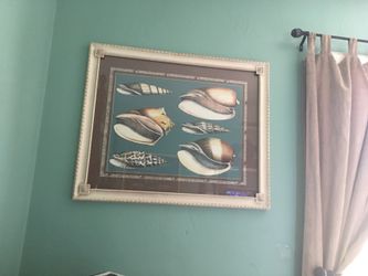 Nice framed shell pictures