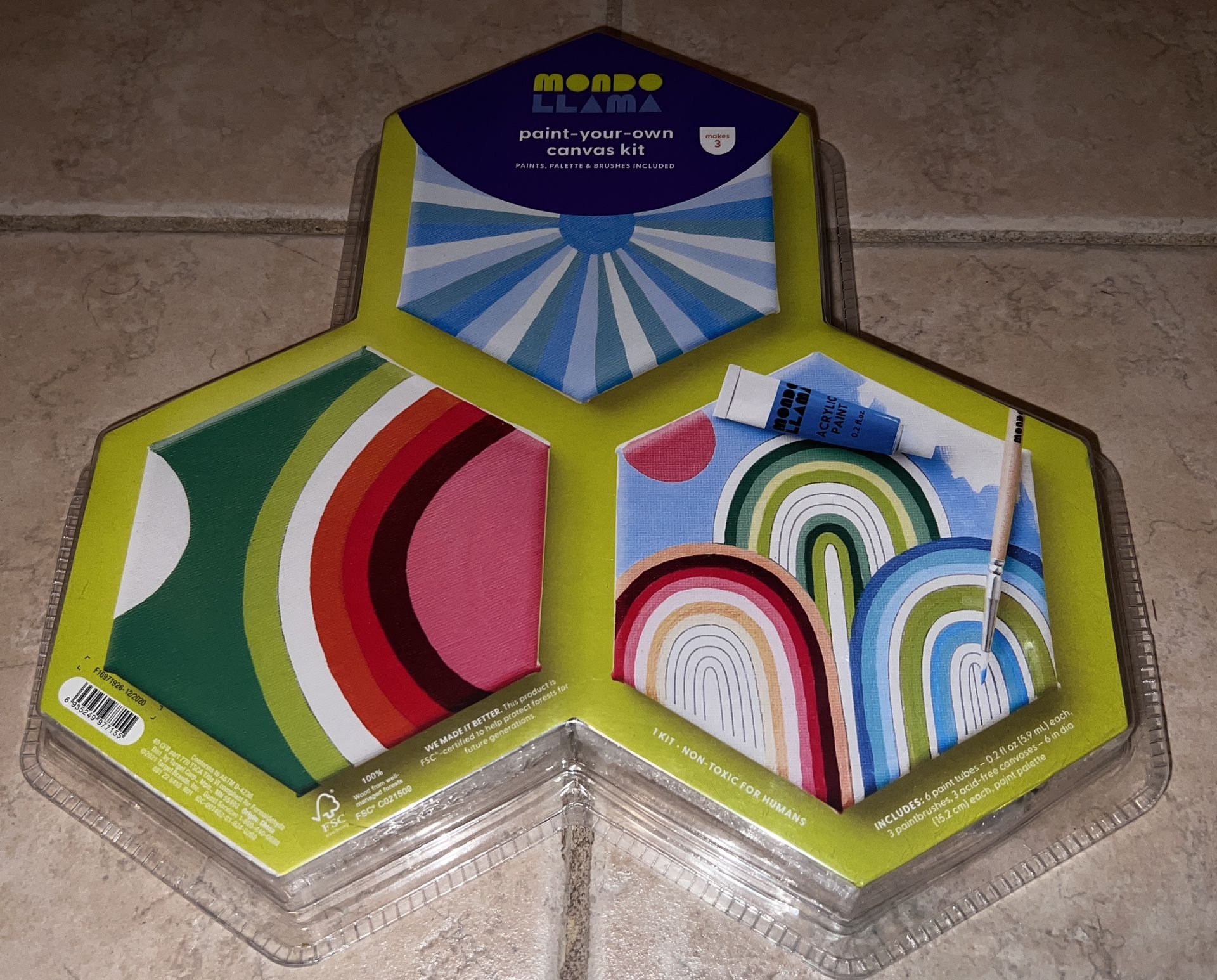 Paint Your Own Canvas Kit