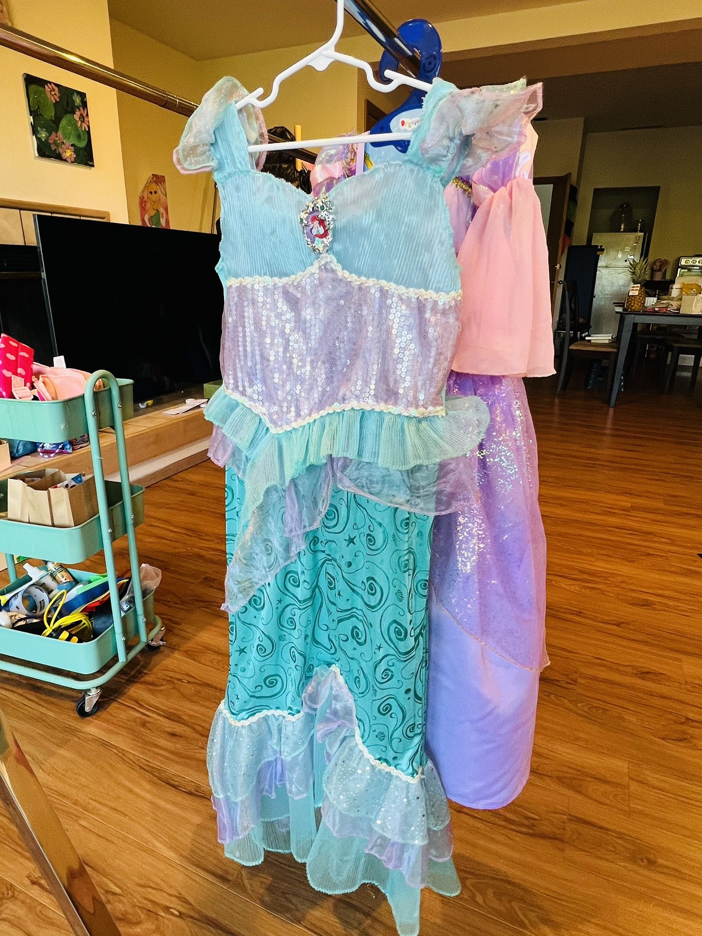 Disney Princess Dress