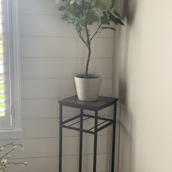 Farmhouse Plant And Stand Sold Together