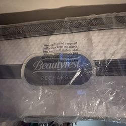 Queen bed/mattress Beautyrest