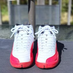 Air Jordan 12