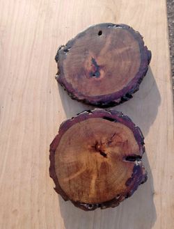 (Set of 2) Handmade Rustic Pecan Wood Deco Coasters Functional Artwork one-of-a-kind