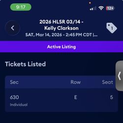 Kelly Clarkson Rodeo Concert