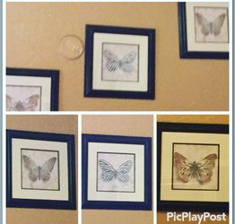 Butterflies frames