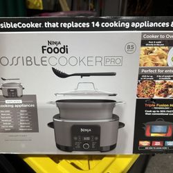 Possible Cooker