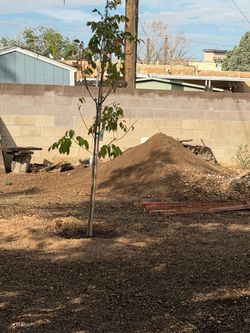 Free fill dirt