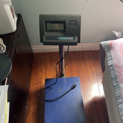 Scale 