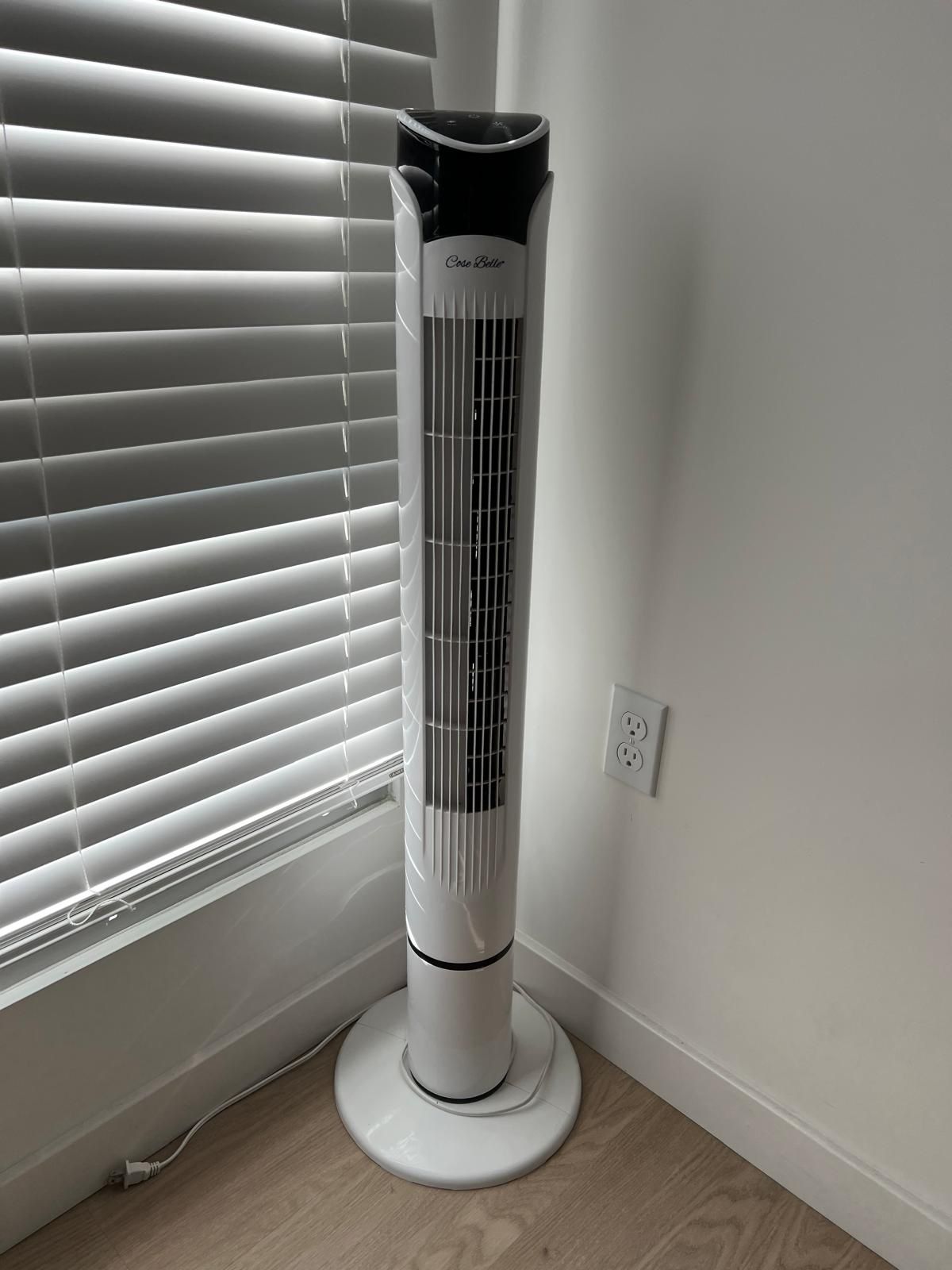 Fan