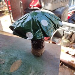 Concert Mushrooms