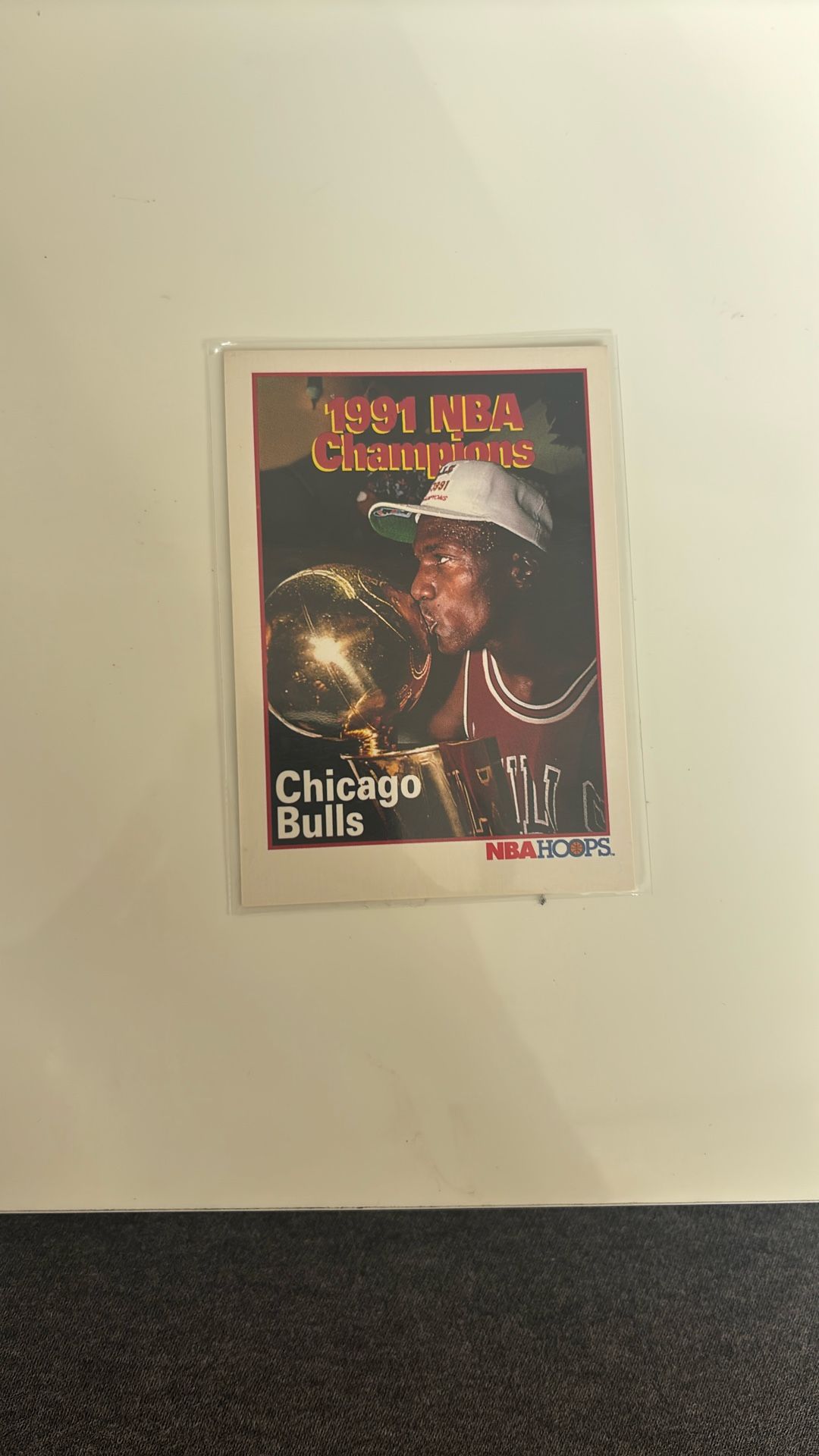 1991 NBA Champions