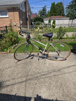 Adult Bike  28in