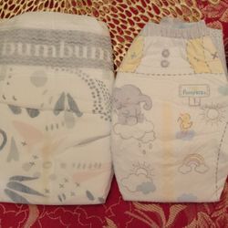 Size 3 Diapers New