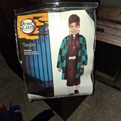 Demon Slayer Costume