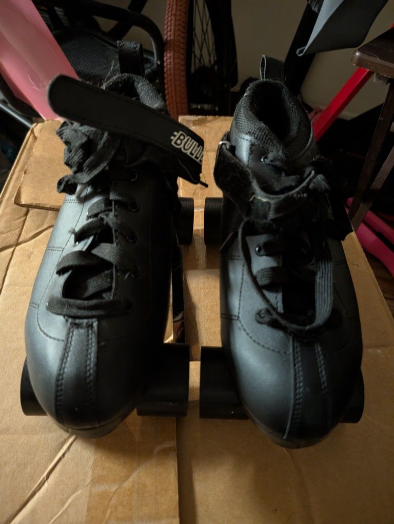 CHICAGO BULLET SPEED SKATES