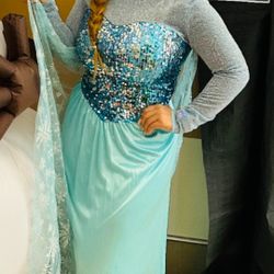 Elsa Frozen Adult Female