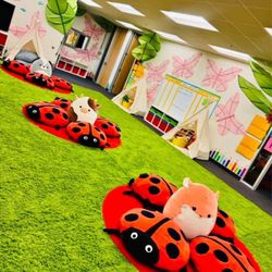 Free big  green rug just 1 available 