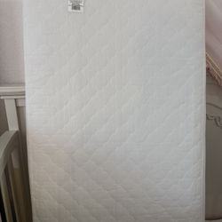Crib Matress Sealy 