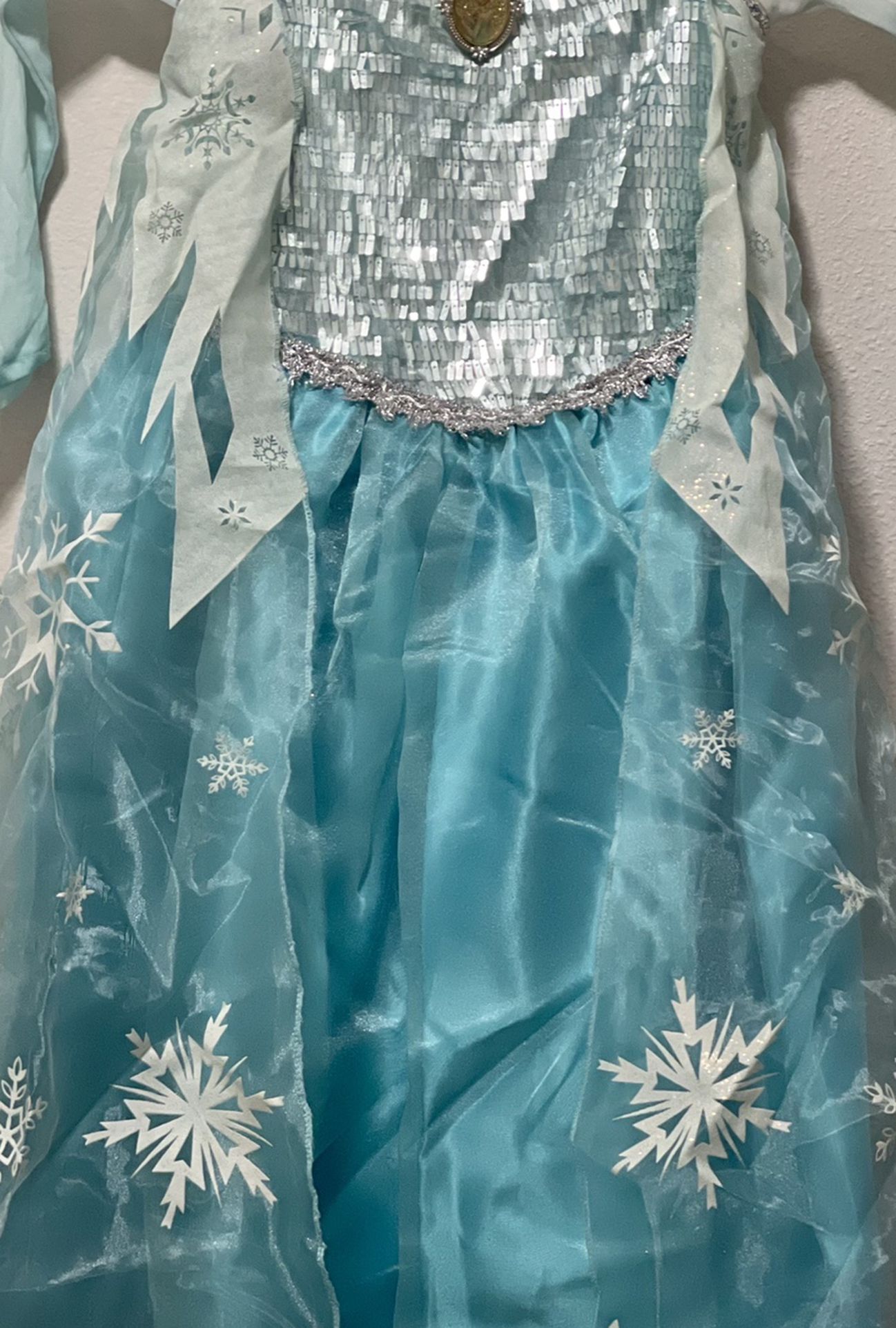 Disney Elsa Costume